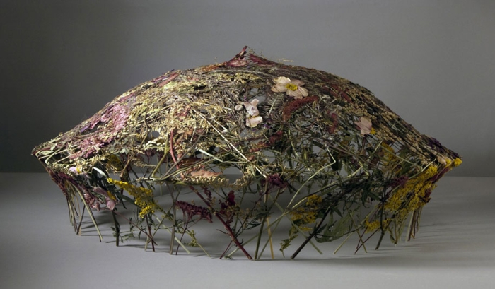 dried-flowers-pressed-design-ignacio-canales-aracil-10