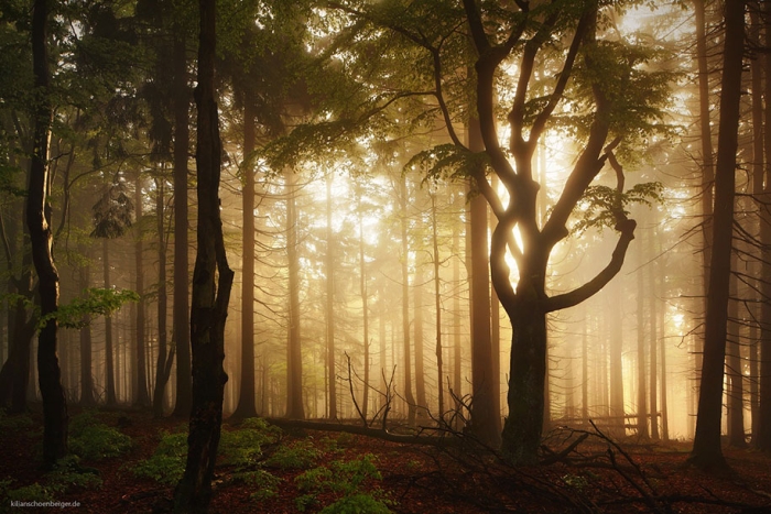 brothers-grimm-wanderings-landscape-photography-kilian-schonberger-4