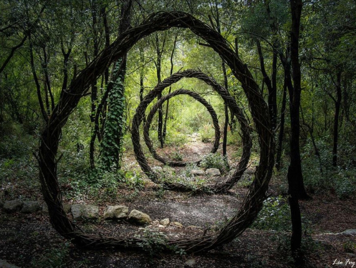 forest-land-art-nature-spencer-byles-14