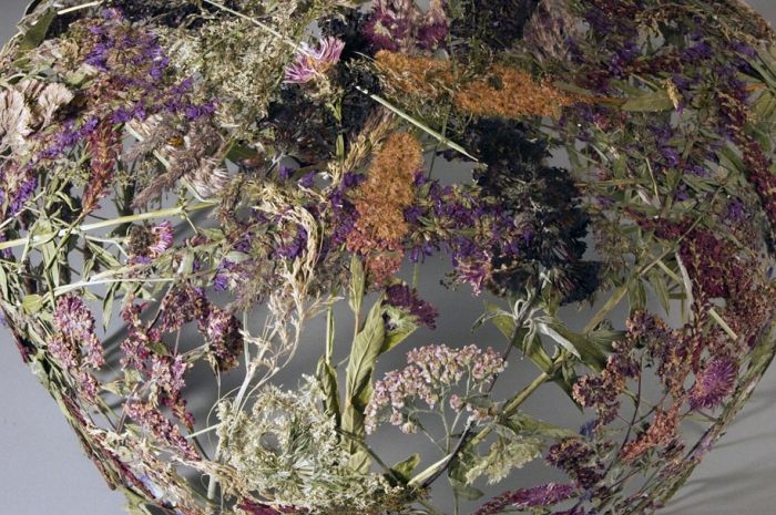 dried-flowers-pressed-design-ignacio-canales-aracil-11
