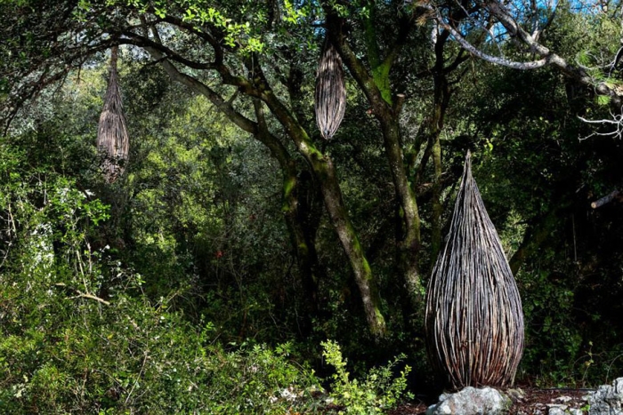 forest-land-art-nature-spencer-byles-6