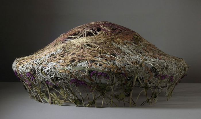 dried-flowers-pressed-design-ignacio-canales-aracil-3