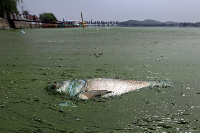 pollution-environmental-issues-photography-china-17