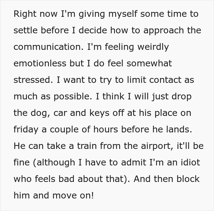 Text snippet explaining plans to return items before a guy arrives back after taking an imaginary flight to Italy.