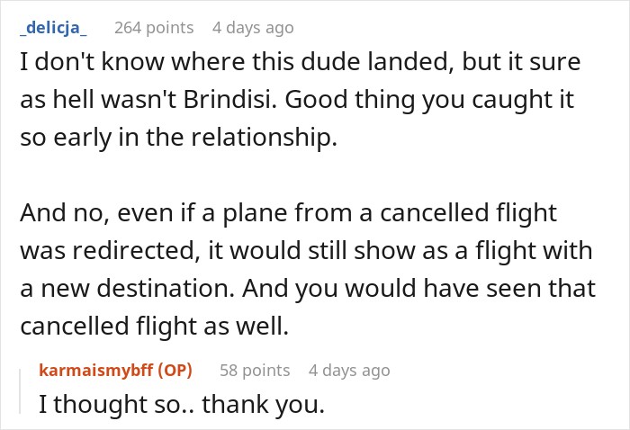 Comment discussing redirecting planes and verifying details on a flight tracker for an imaginary flight to Italy.