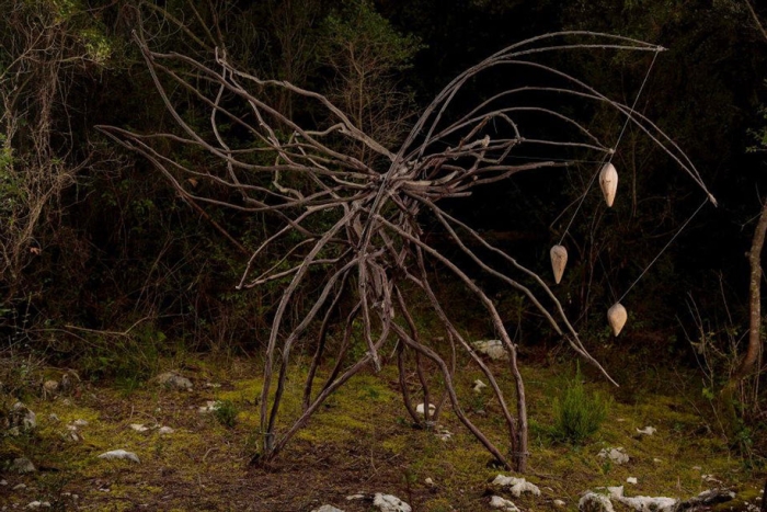 forest-land-art-nature-spencer-byles-11