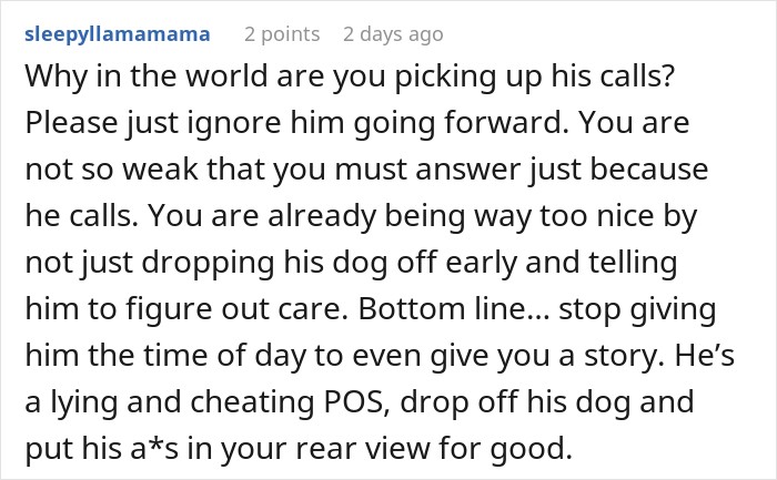 Comment advising to ignore calls from a lying partner in the story where a guy takes an imaginary flight to Italy.