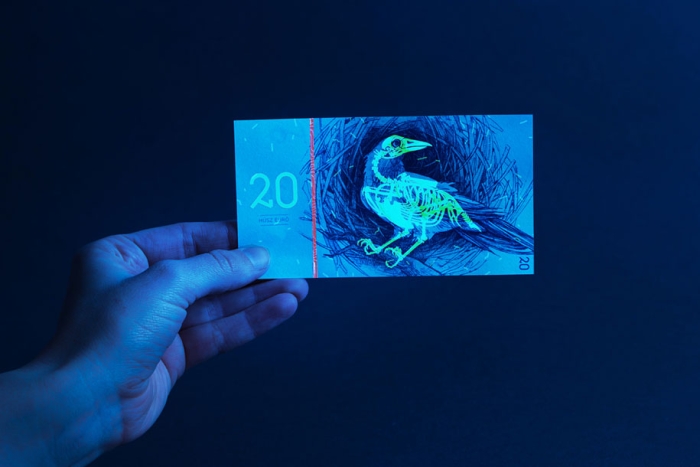hungarian-money-concept-paper-euro-barbara-bernat-14