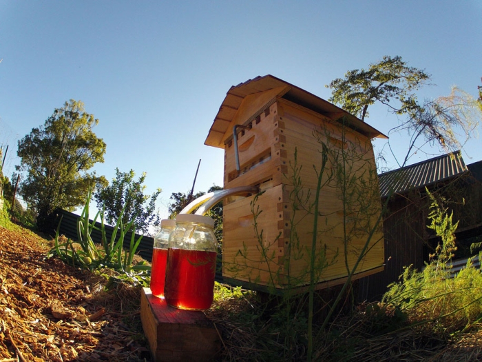 bees-easy-honey-tap-flow-hive-stuart-cedar-anderson-9