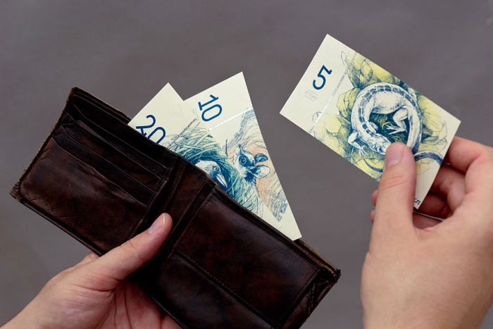 hungarian-money-concept-paper-euro-barbara-bernat-17
