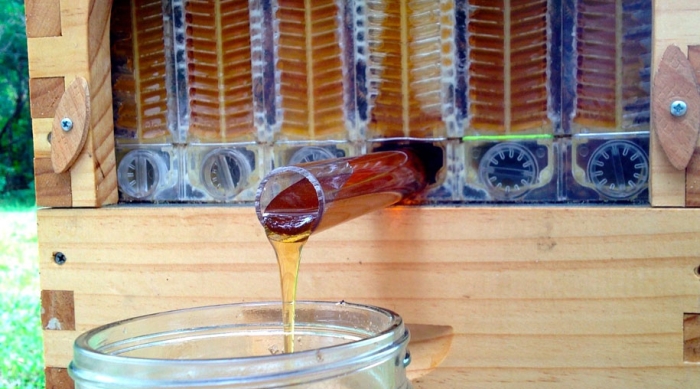 bees-easy-honey-tap-flow-hive-stuart-cedar-anderson-4