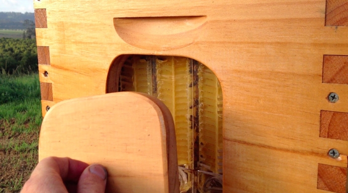 bees-easy-honey-tap-flow-hive-stuart-cedar-anderson-3