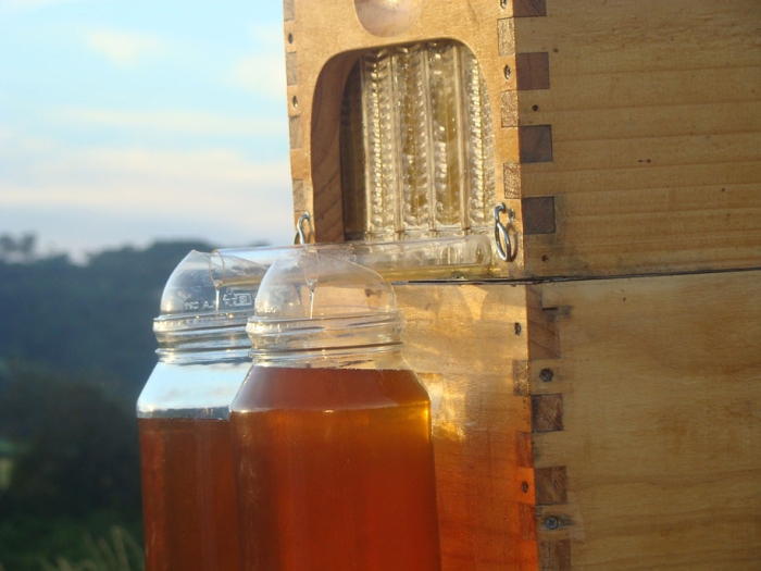 bees-easy-honey-tap-flow-hive-stuart-cedar-anderson-2