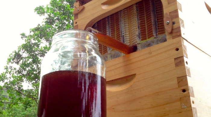 bees-easy-honey-tap-flow-hive-stuart-cedar-anderson-5