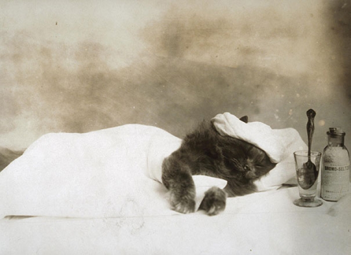 first-female-photojournalist-america-jessie-tarbox-beals-6