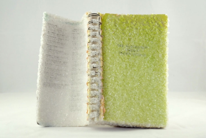 crystal-art-crystallized-book-alexis-arnold-10
