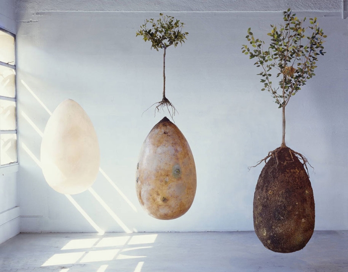 sacred-memory-forest-biodegradable-burial-pod-capsula-mundi-8