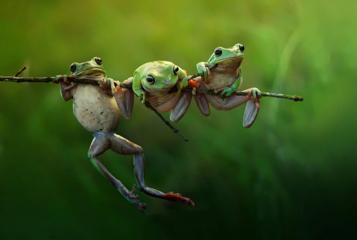 shortlist-sony-world-photography-awards-2015-3