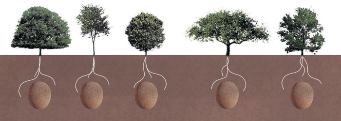 sacred-memory-forest-biodegradable-burial-pod-capsula-mundi-5