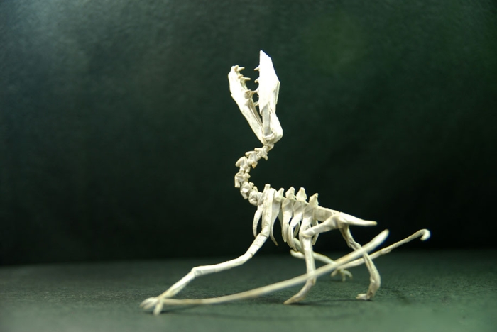 paper-craft-origami-dinosaurs-dragon-adam-tran-trung-hieu-8