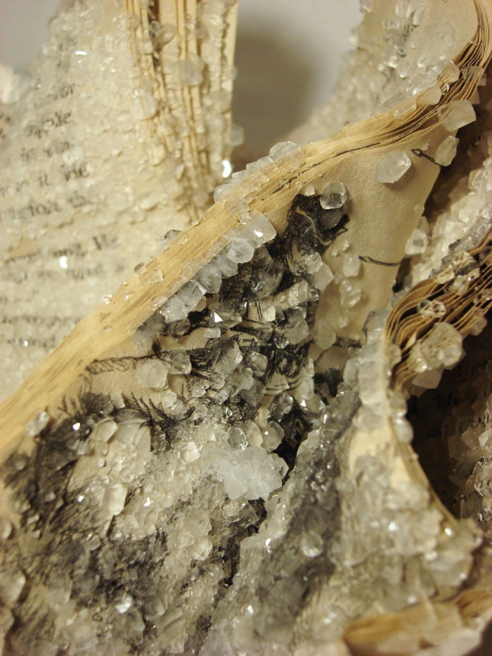 crystal-art-crystallized-book-alexis-arnold-13
