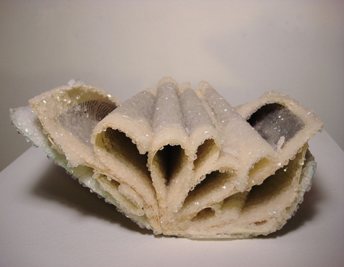 crystal-art-crystallized-book-alexis-arnold-1