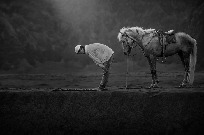 shortlist-sony-world-photography-awards-2015-50