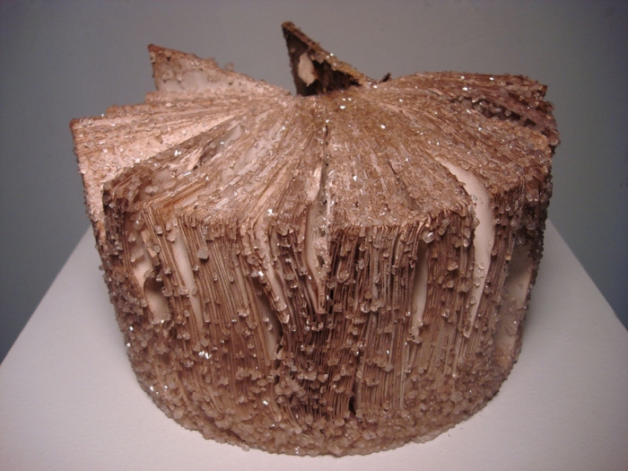 crystal-art-crystallized-book-alexis-arnold-8