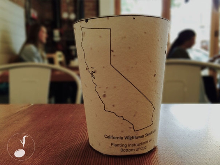 green-seed-plantable-coffee-cup-reduce-reuse-grow-19