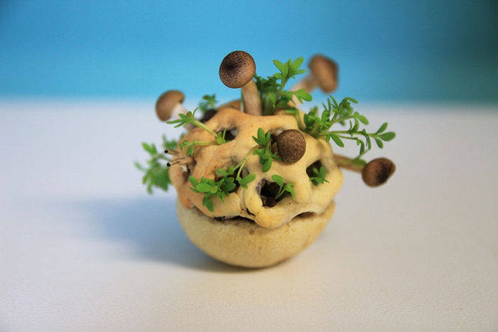 concept-design-3d-printed-food-edible-growth-chloe-rutzerveld-5
