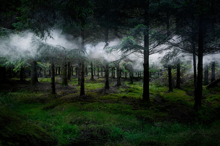fairy-tale-photograhy-ellie-davis-5