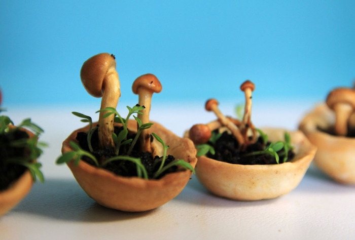 concept-design-3d-printed-food-edible-growth-chloe-rutzerveld-4
