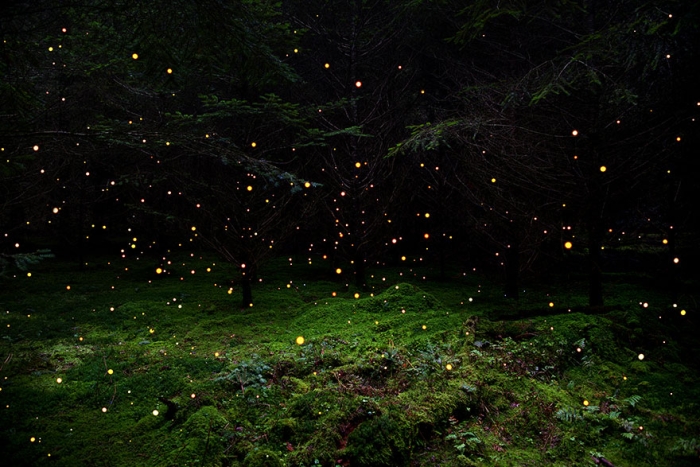 fairy-tale-photograhy-ellie-davis-19