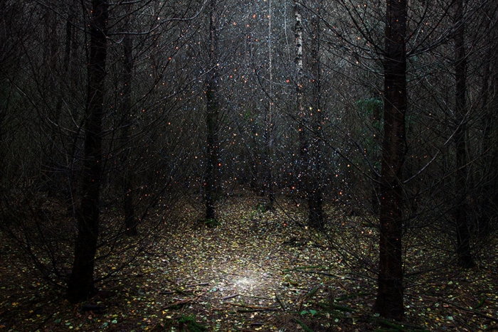 fairy-tale-photograhy-ellie-davis-1