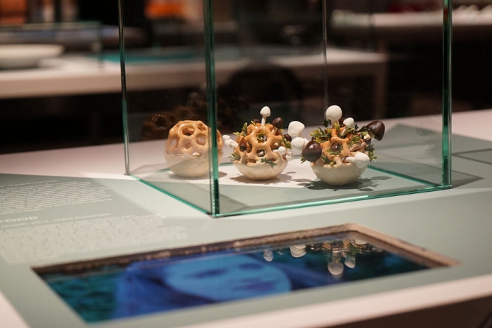 concept-design-3d-printed-food-edible-growth-chloe-rutzerveld-2
