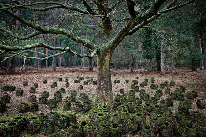 fairy-tale-photograhy-ellie-davis-7