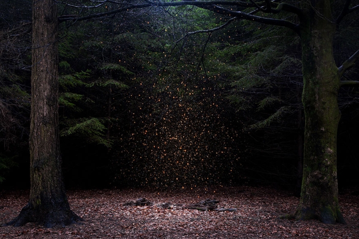 fairy-tale-photograhy-ellie-davis-21