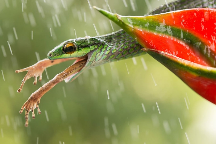 favorite-finalists-photography-12th-annual-smithsonian-photo-competition-2015-1