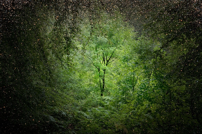 fairy-tale-photograhy-ellie-davis-4