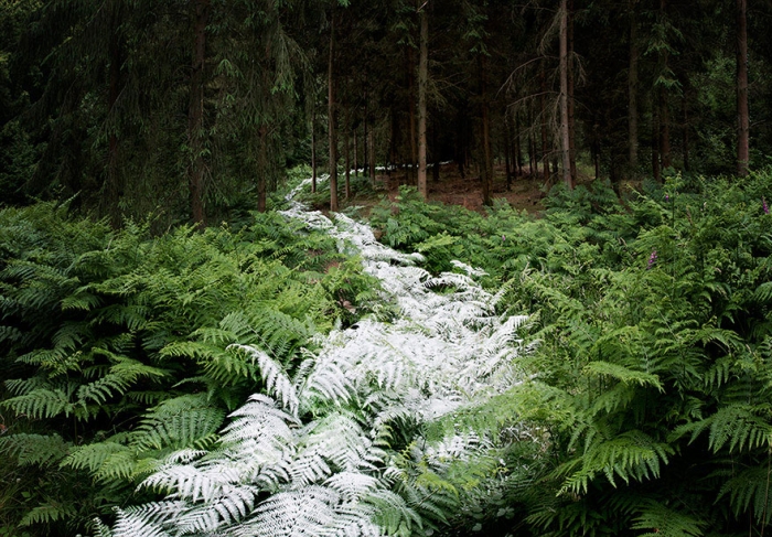 fairy-tale-photograhy-ellie-davis-16