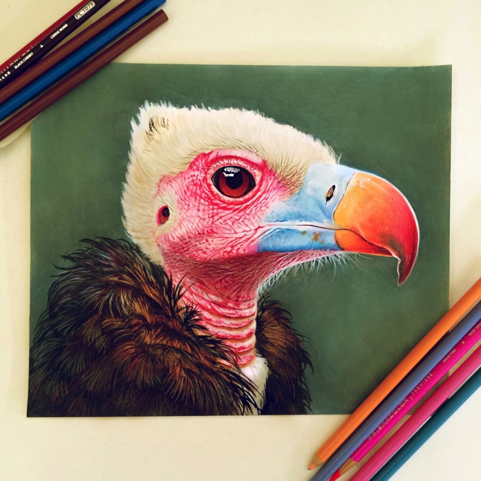 realistic-colored-pencil-drawings-morgan-davidson-6