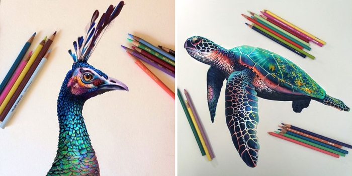 realistic-colored-pencil-drawings-morgan-davidson-1