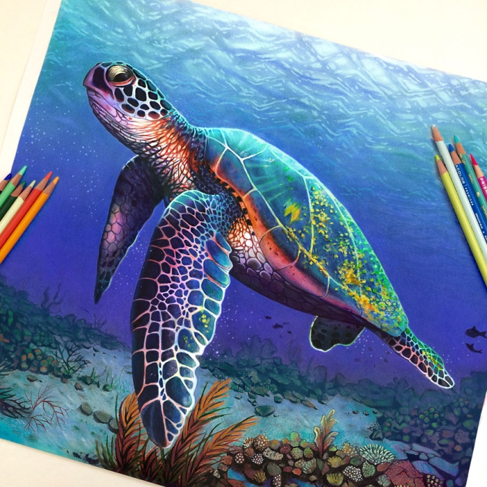 realistic-colored-pencil-drawings-morgan-davidson-7