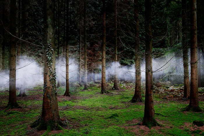 fairy-tale-photograhy-ellie-davis-12