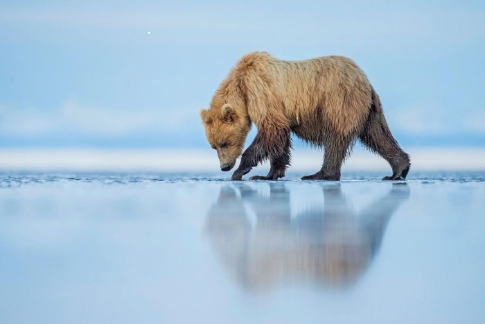 favorite-finalists-photography-12th-annual-smithsonian-photo-competition-2015-3