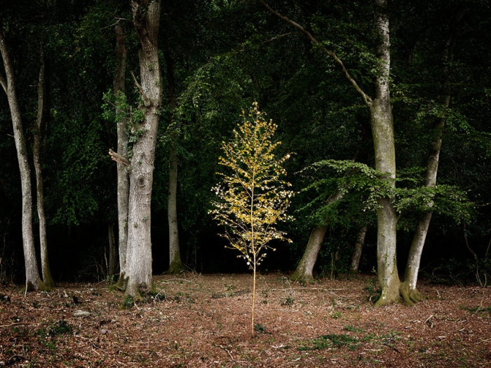 fairy-tale-photograhy-ellie-davis-9
