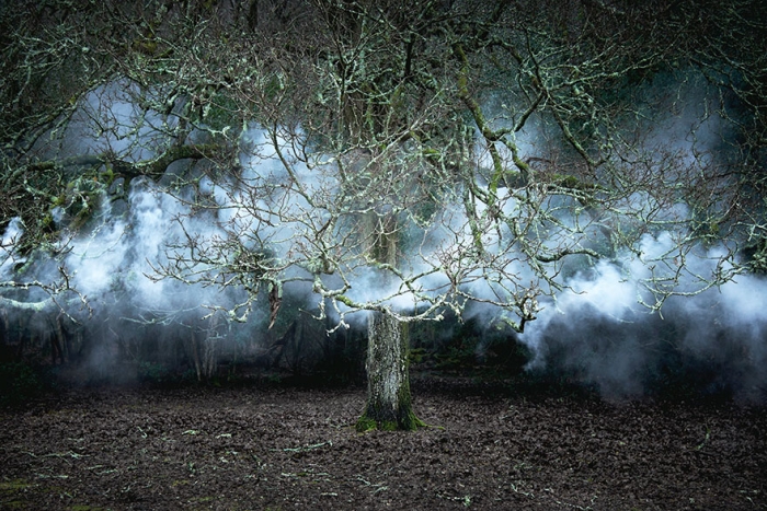fairy-tale-photograhy-ellie-davis-8