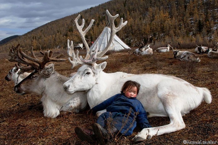 mongolia-tribe-reindeer-people-hamid-sardar-afkhami-5