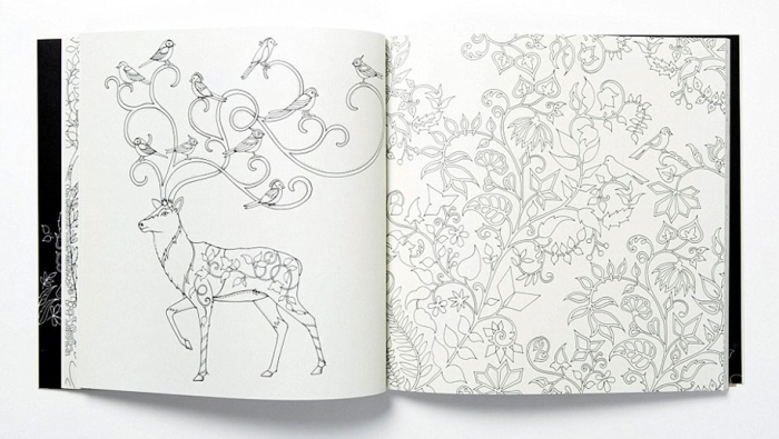 coloring-books-adults-johanna-basford-2