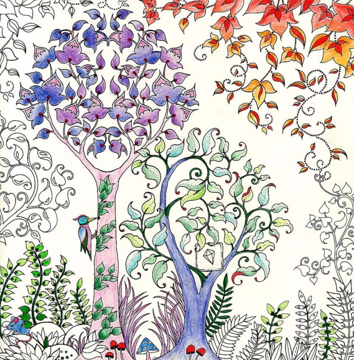 coloring-books-adults-johanna-basford-4